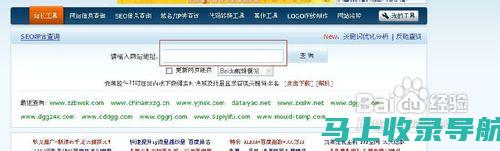 如何利用站长之家网站查询功能提升网站的SEO效果与流量转化